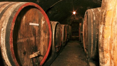 Caves des vins du Jura